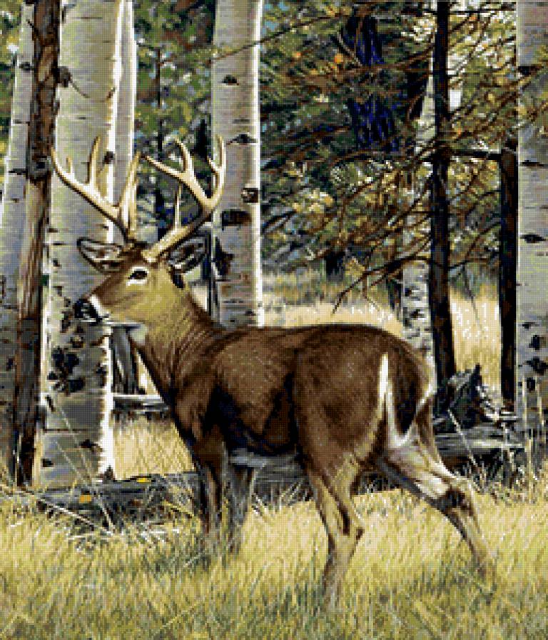 олень в лесу - предпросмотр