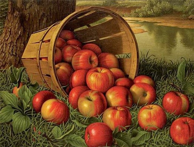 урожай - яблоки - оригинал