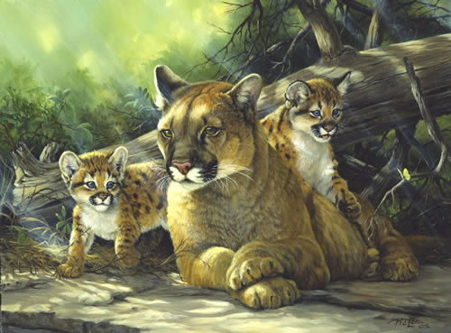 0111 - кошки, природа, картина, леопард, животные, красота - оригинал