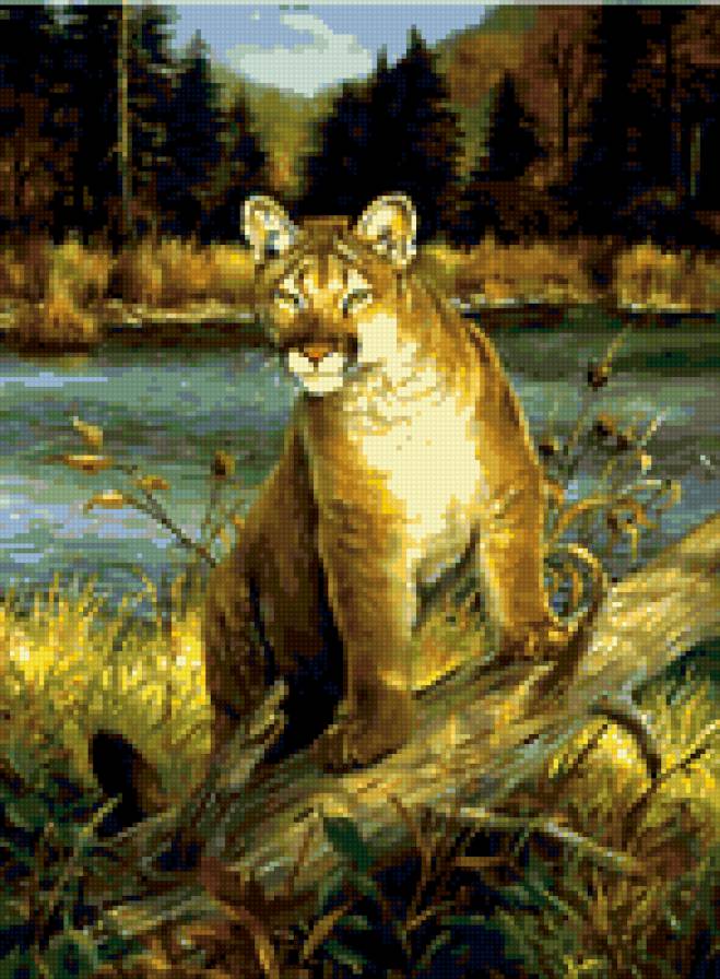 0112 - кошки, леопард, красота, животные, природа, картина - предпросмотр