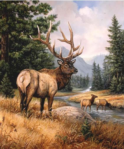 0114 - олень, природа, животные, красота, лес, картина - оригинал