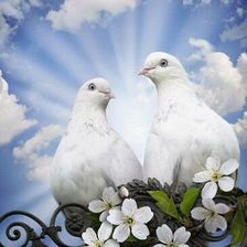 Схема вышивки «Любовь и голуби»