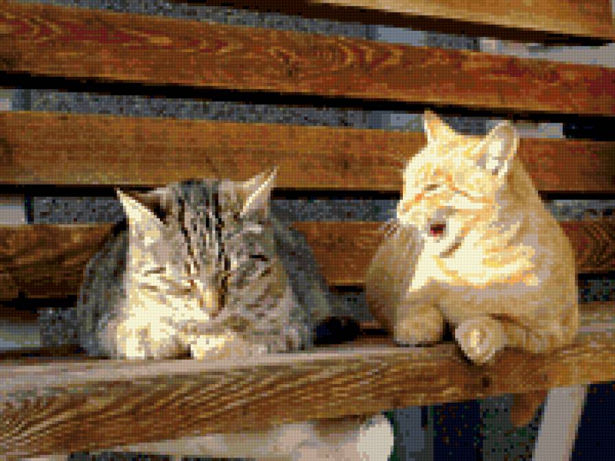 на лавочке - кошки - предпросмотр