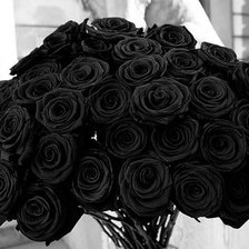 Оригинал схемы вышивки «Черные розы» (№380026)