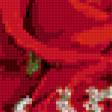 Предпросмотр схемы вышивки «Розы красные» (№380031)