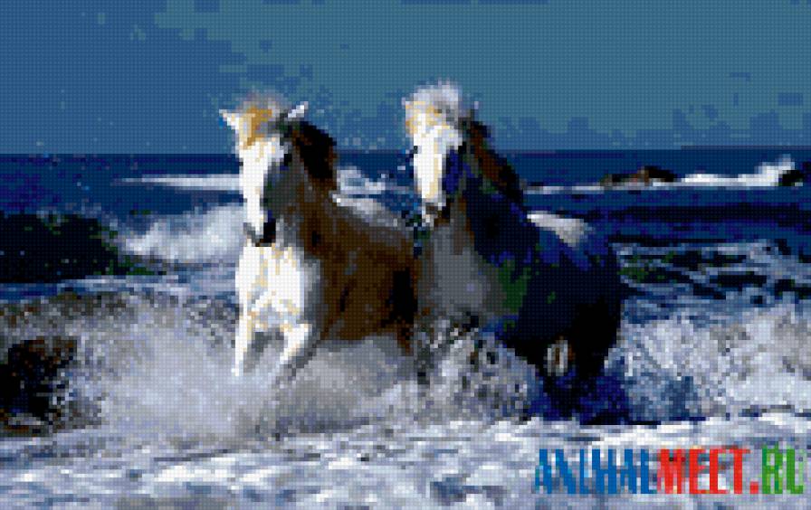море и лошади - природа, лошади - предпросмотр