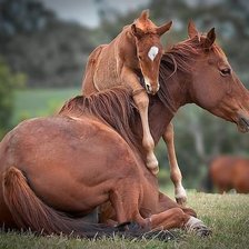 Схема вышивки «с мамой»