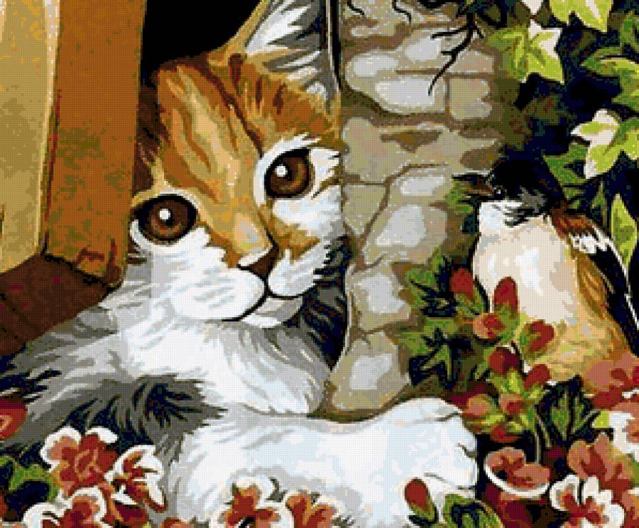Кот и птичка - кошечка, природа, кошки, кошка, птичка, птица, животные, кот - предпросмотр
