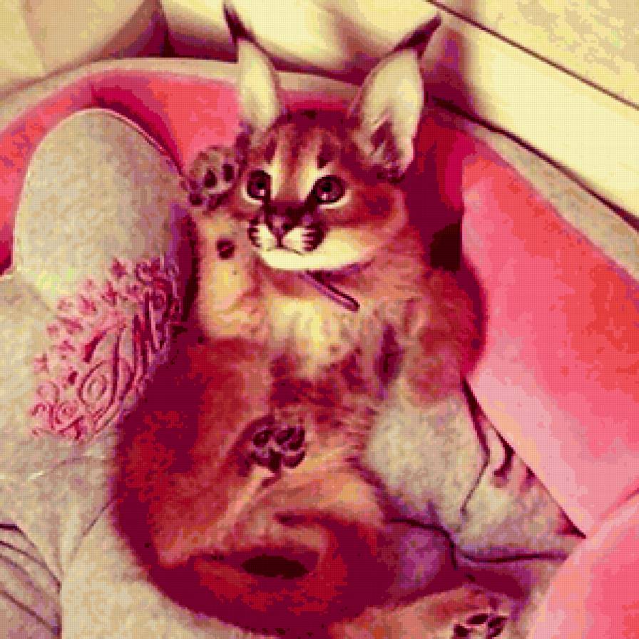 Милашка - кот, животные - предпросмотр