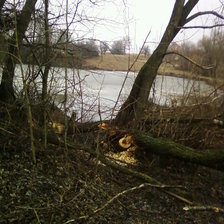 Схема вышивки «пруд»