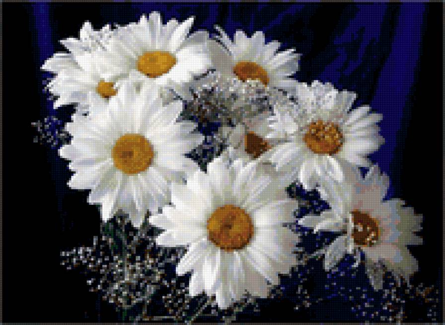 ромашки - цветы - предпросмотр