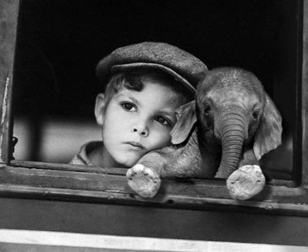 Мальчик со слоненком - дети, животные - оригинал