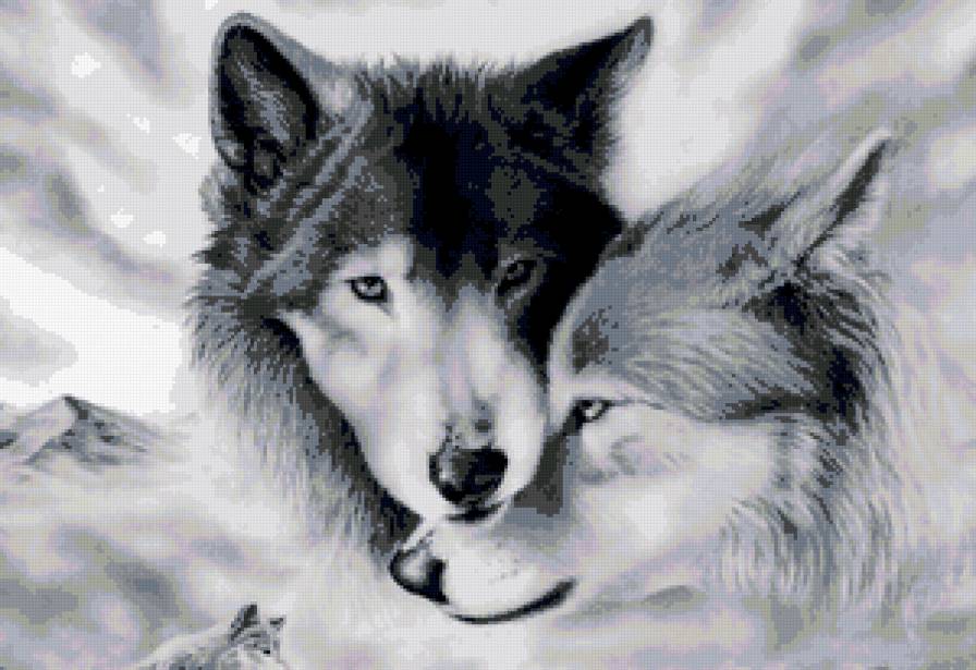 Влюбленные волки - животные, волк - предпросмотр