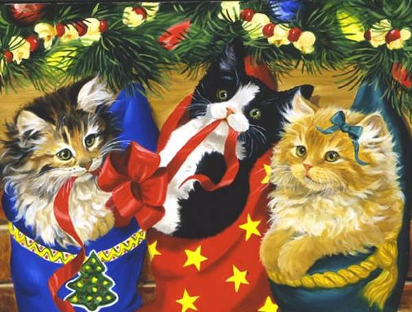 рождественские котята - котенок, кошки, в детскую, котята, детям, животные, коты - оригинал