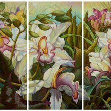 Оригинал схемы вышивки «Триптих "Орхидеи"» (№380596)