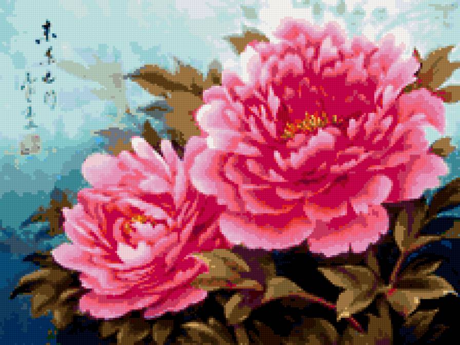 Пионы - цветы, пионы - предпросмотр