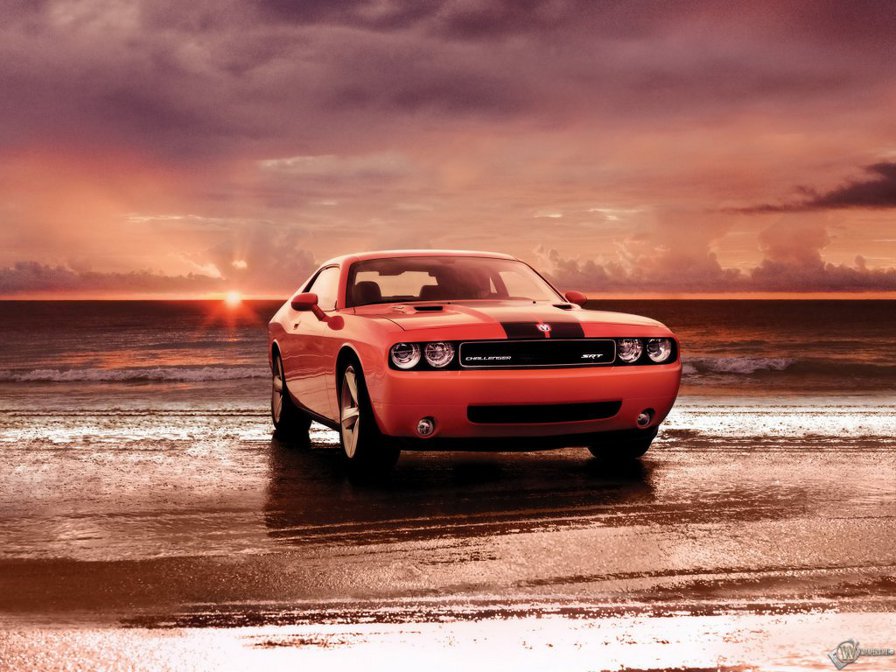 Dodge challenger - тачка, красотка, авто, автомобиль, машина - оригинал