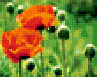 wdtns - предпросмотр