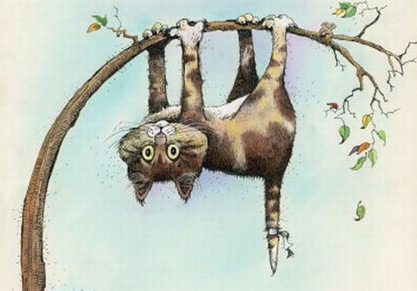 Котик на ветке - дерево, шалун, кот - оригинал
