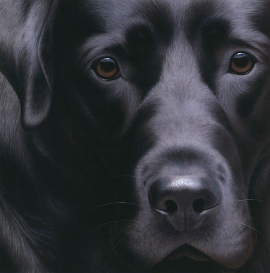 картина - животные - оригинал