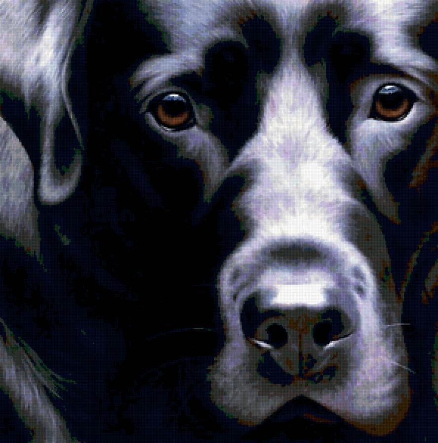 картина - животные - предпросмотр