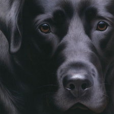 Схема вышивки «картина»