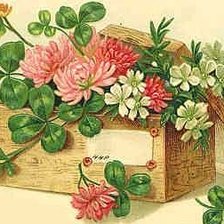 Схема вышивки «полевые цветы»