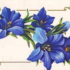 Оригинал схемы вышивки «голубые цветы» (№381175)