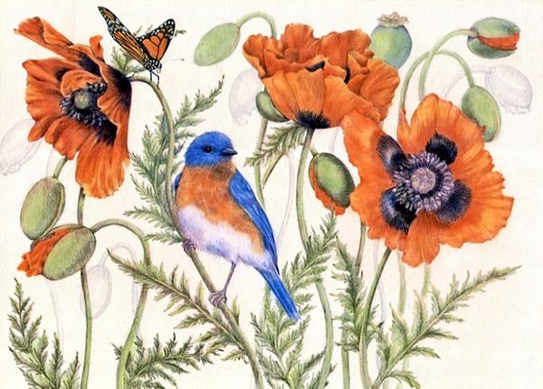 маки и птица - оригинал