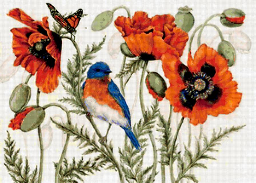 маки и птица - предпросмотр