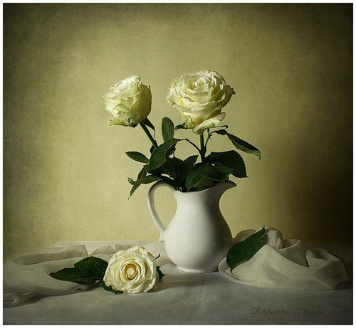 розы - натюрморт, цветы, букет, розы - оригинал