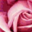 Предпросмотр схемы вышивки «Чудесная роза» (№381276)