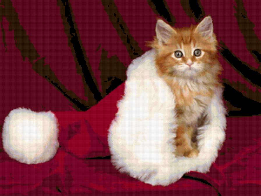 Котик - предпросмотр