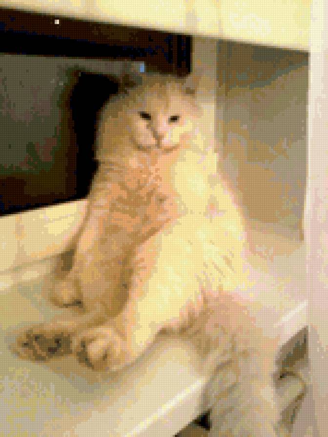 мой любимый Снежок - предпросмотр