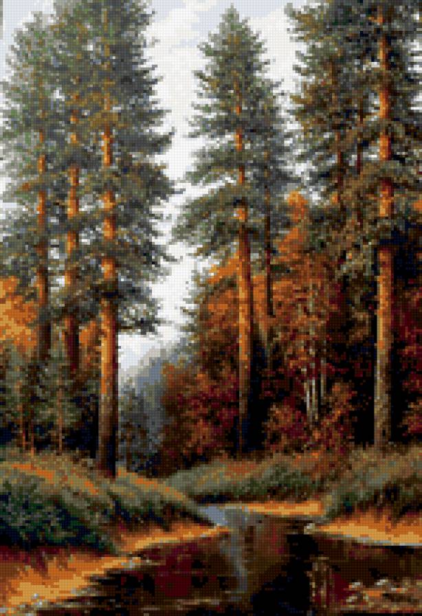 Сосны в вечернем свете - закат, сосны, лес, пейзаж - предпросмотр