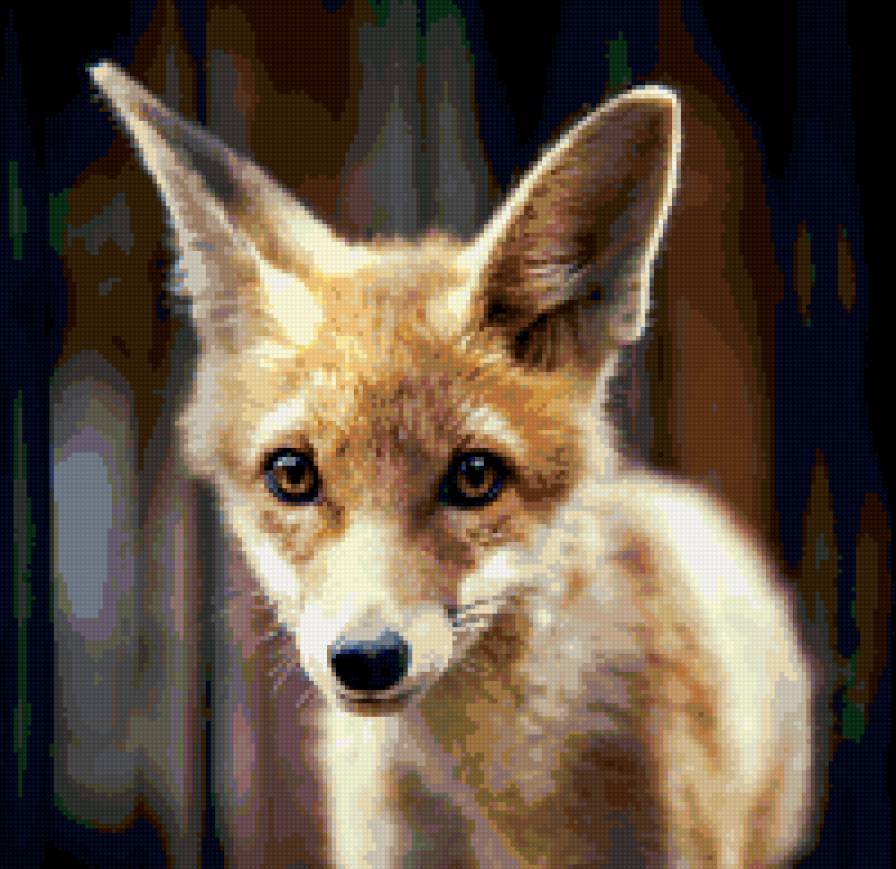 лиса - мордочка, лиса - предпросмотр