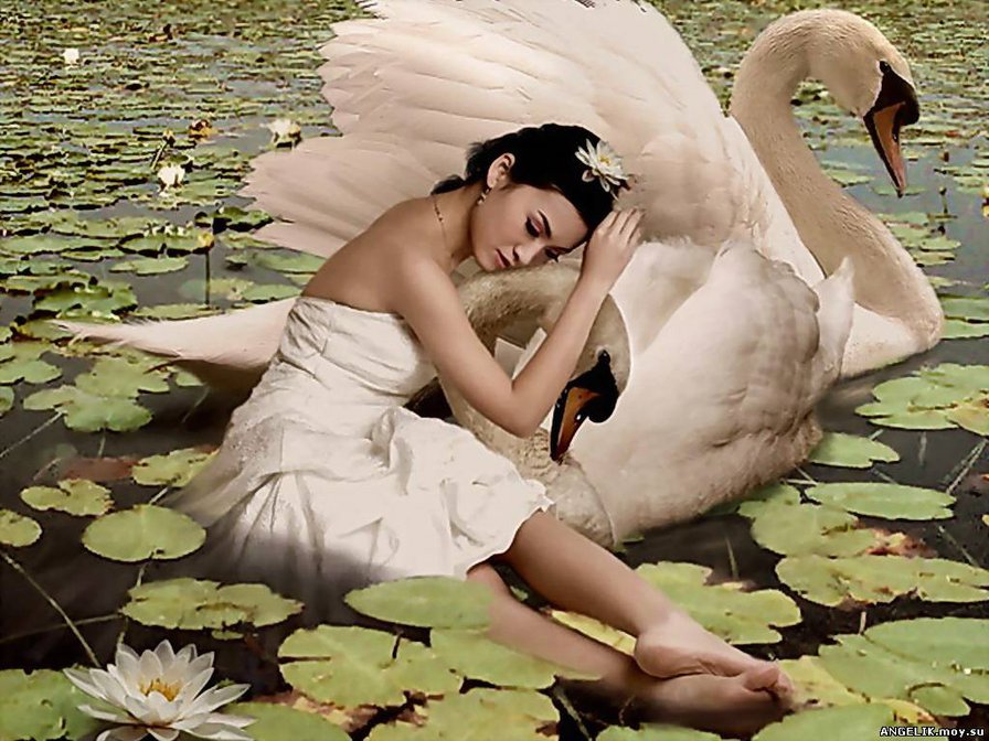 №381541 - оригинал