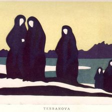 Схема вышивки «terranova»