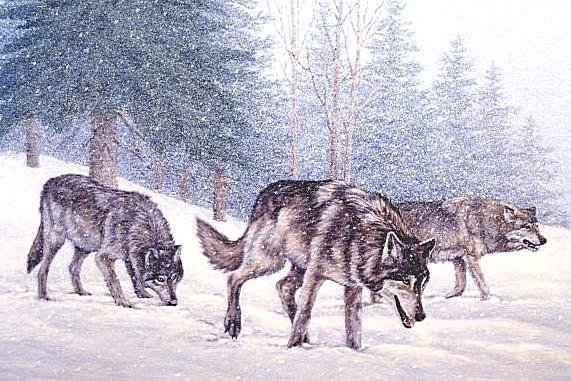Волки - зима, волки - оригинал