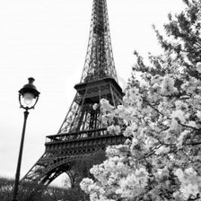 Схема вышивки «Eiffel Tower»