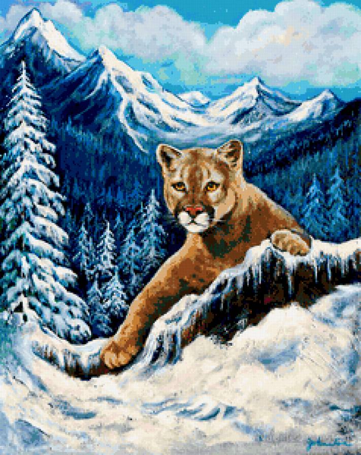 Пума - горы, пейзаж, пума, животные, дикие кошки, зима - предпросмотр