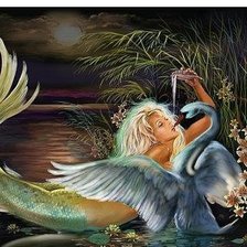 Схема вышивки «русалка и лебедь»