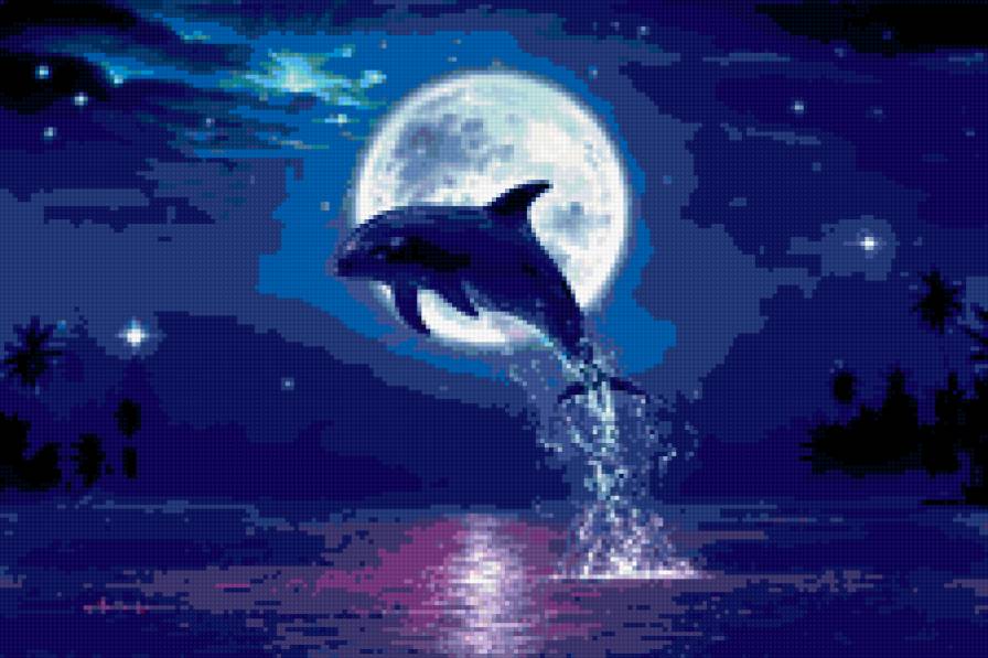 дельфинчик - предпросмотр