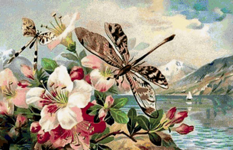 берег моря - предпросмотр