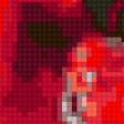 Предпросмотр схемы вышивки «красный натюрморт» (№382199)