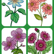 Схема вышивки «цветочное панно»