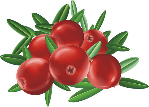 клюква - оригинал