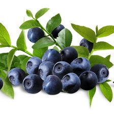 Схема вышивки «черника»