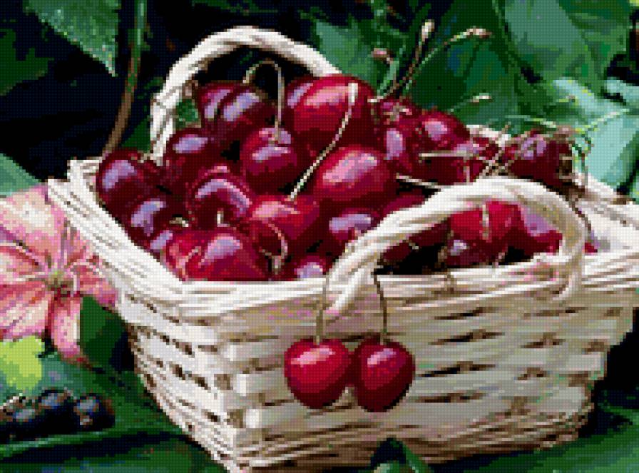 вишни - предпросмотр