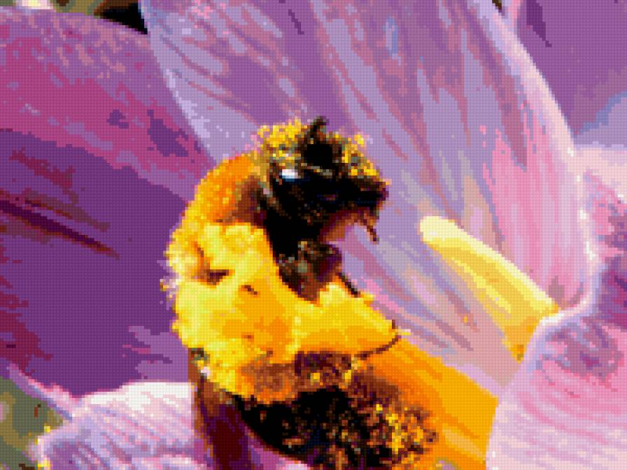 Пчелка - насекомые - предпросмотр